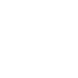 Digital Engineering Services Firm