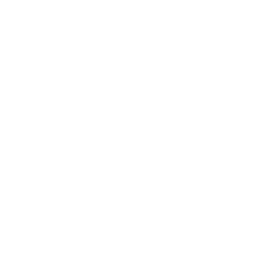 Digital Engineering Services Firm